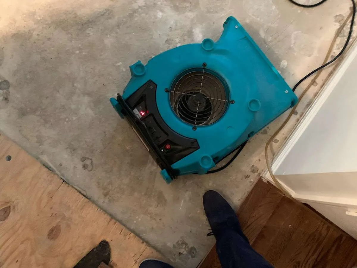 Air mover drying subfloor during Leak Detection & Repair in Nanticoke